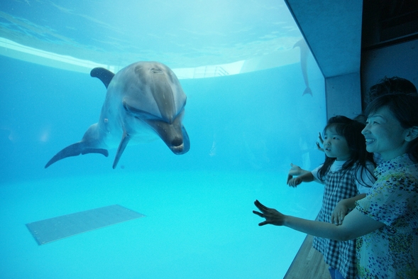 ◆【九十九島水族館「海きらら」入館券付】プラン♪素泊まり